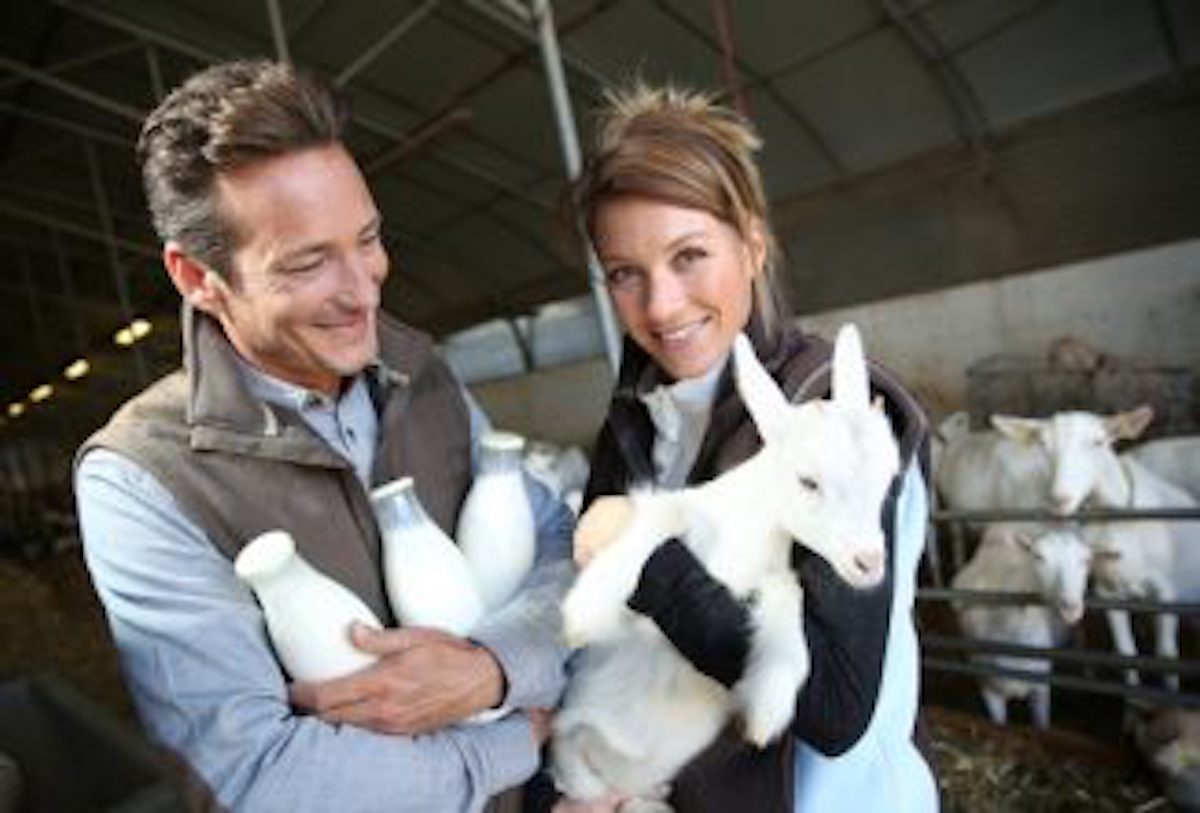 Goat’s Milk Keeps Disappearing, Farmer Follows Her & Captures Something That No One Should Have Seen